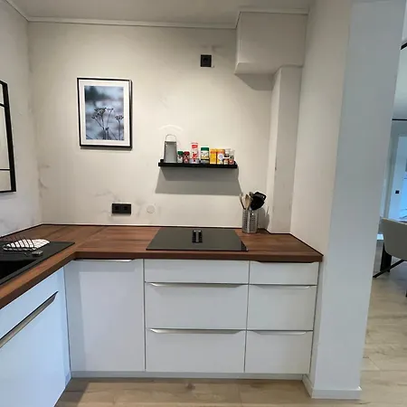 Apartment Grosszuegiges Wohnen Mit Seeblick In Zentrumsnaehe Radolfzell am Bodensee
